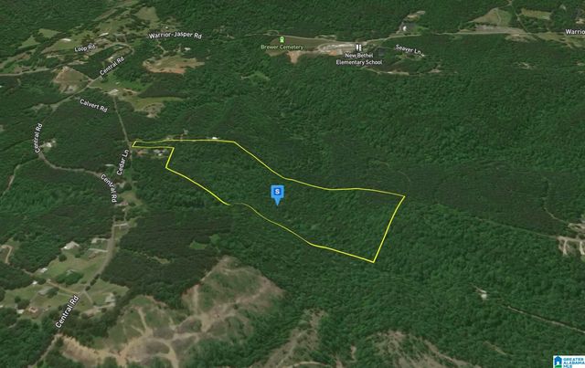 2026 CEDAR LANE, Warrior, AL 35180