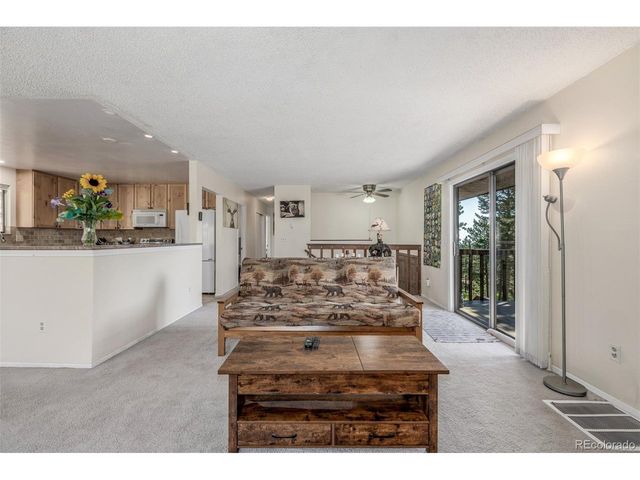 9629 Fallen Rock Rd, Conifer, CO 80433