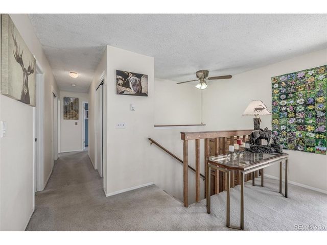 9629 Fallen Rock Rd, Conifer, CO 80433