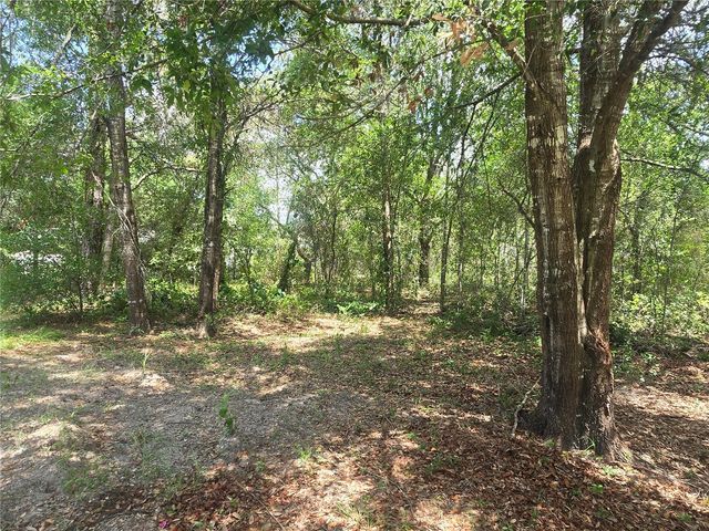 8467 N EMPIRE AVENUE, Citrus Springs, FL 34433