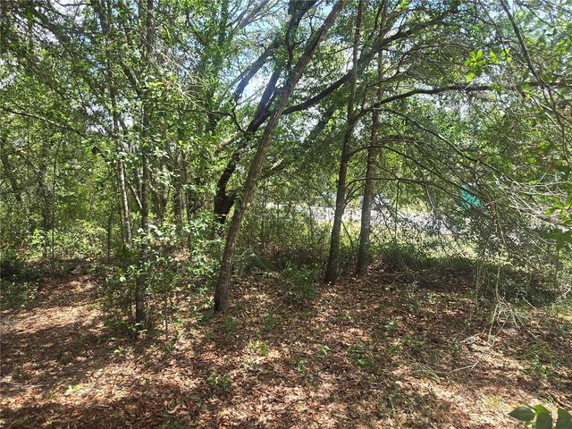 8467 N EMPIRE AVENUE, Citrus Springs, FL 34433