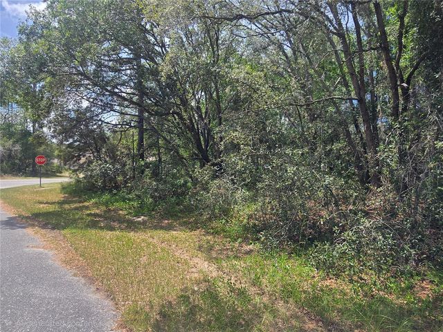 8467 N EMPIRE AVENUE, Citrus Springs, FL 34433