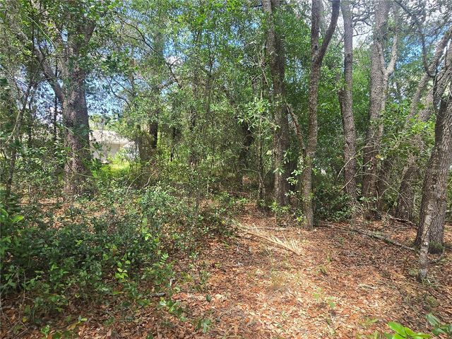 8467 N EMPIRE AVENUE, Citrus Springs, FL 34433