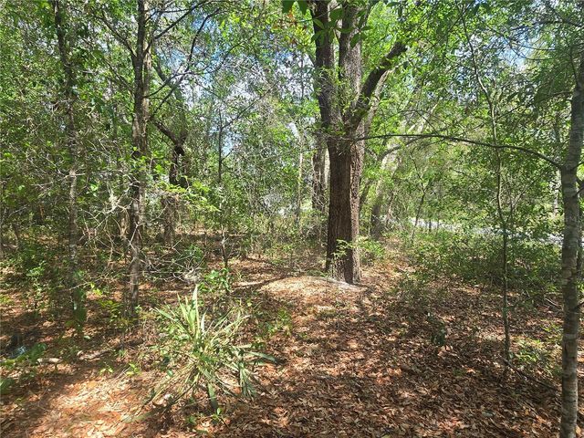 8467 N EMPIRE AVENUE, Citrus Springs, FL 34433