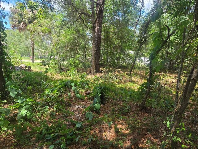 8467 N EMPIRE AVENUE, Citrus Springs, FL 34433