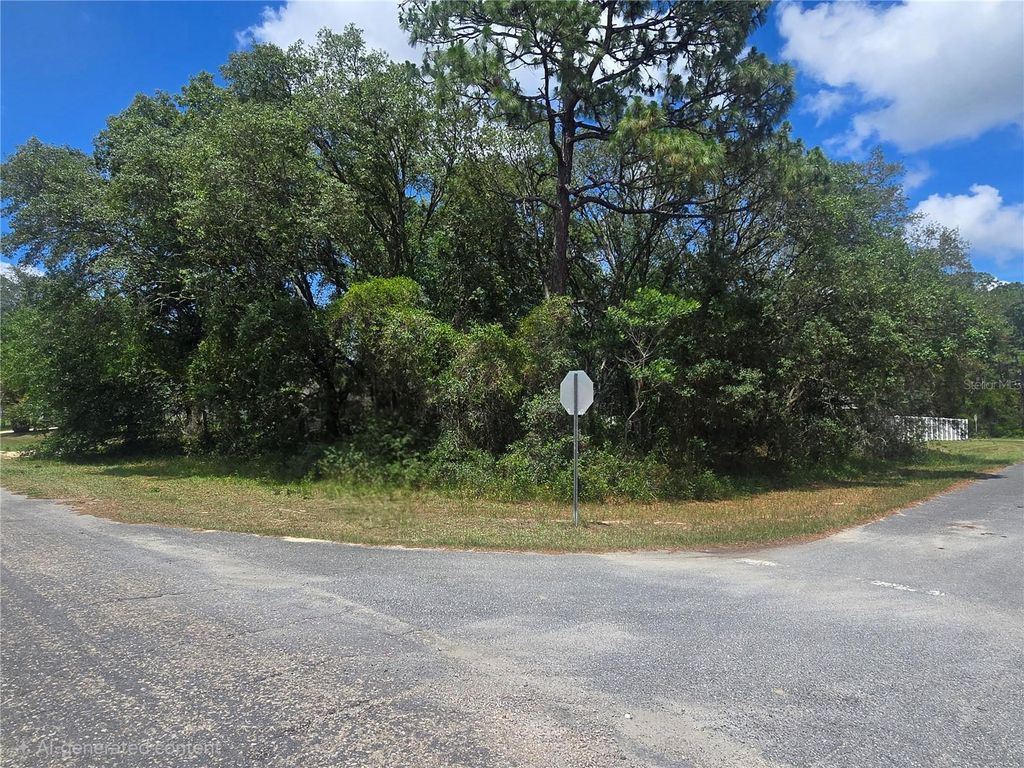 8467 N EMPIRE AVENUE, Citrus Springs, FL 34433
