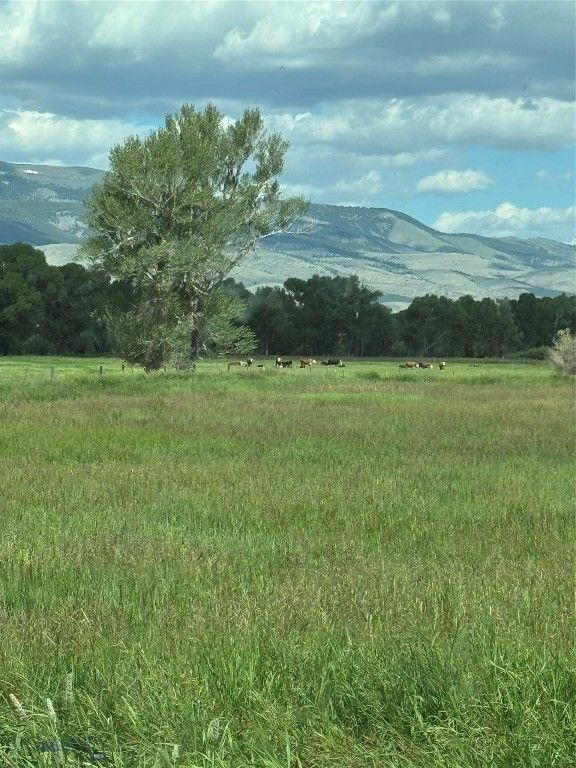 Address unavailable. photo 15