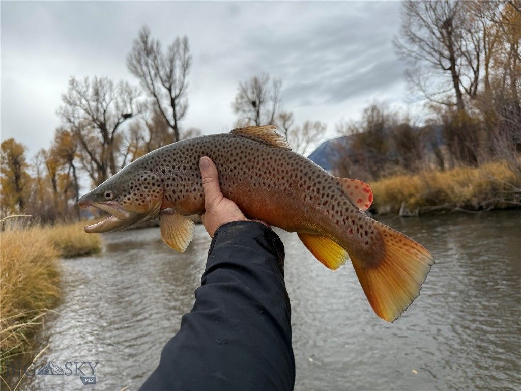 Address unavailable. photo 17