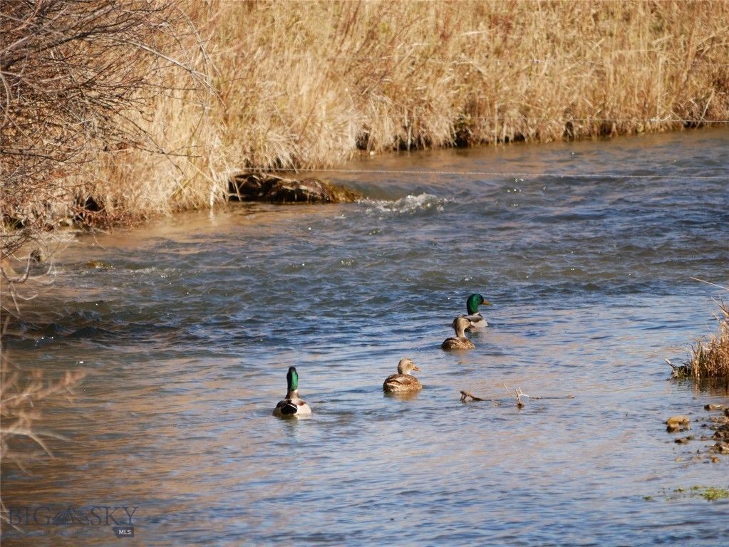 Address unavailable. photo 25