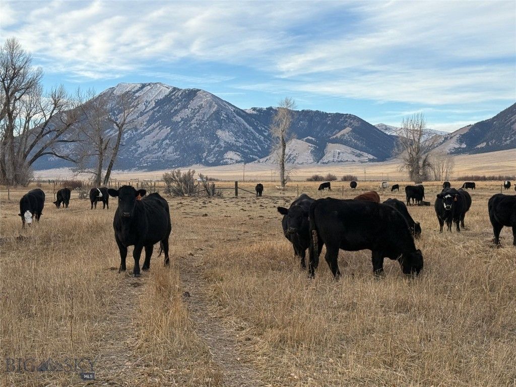 Address unavailable. photo 27