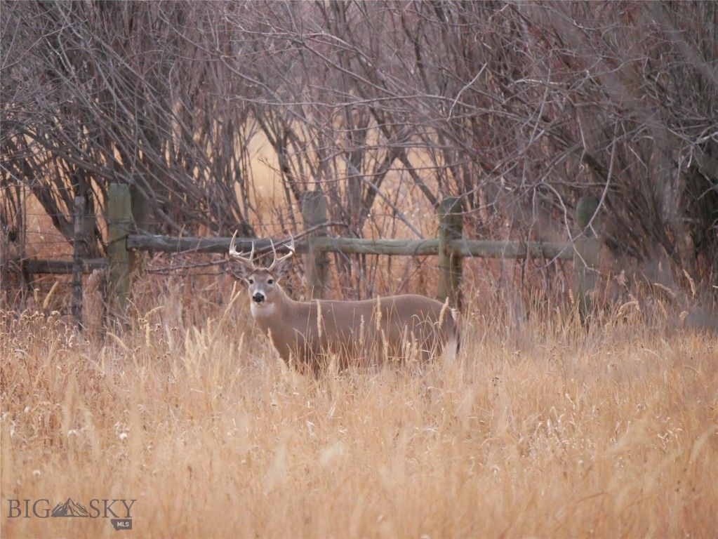 Address unavailable. photo 29