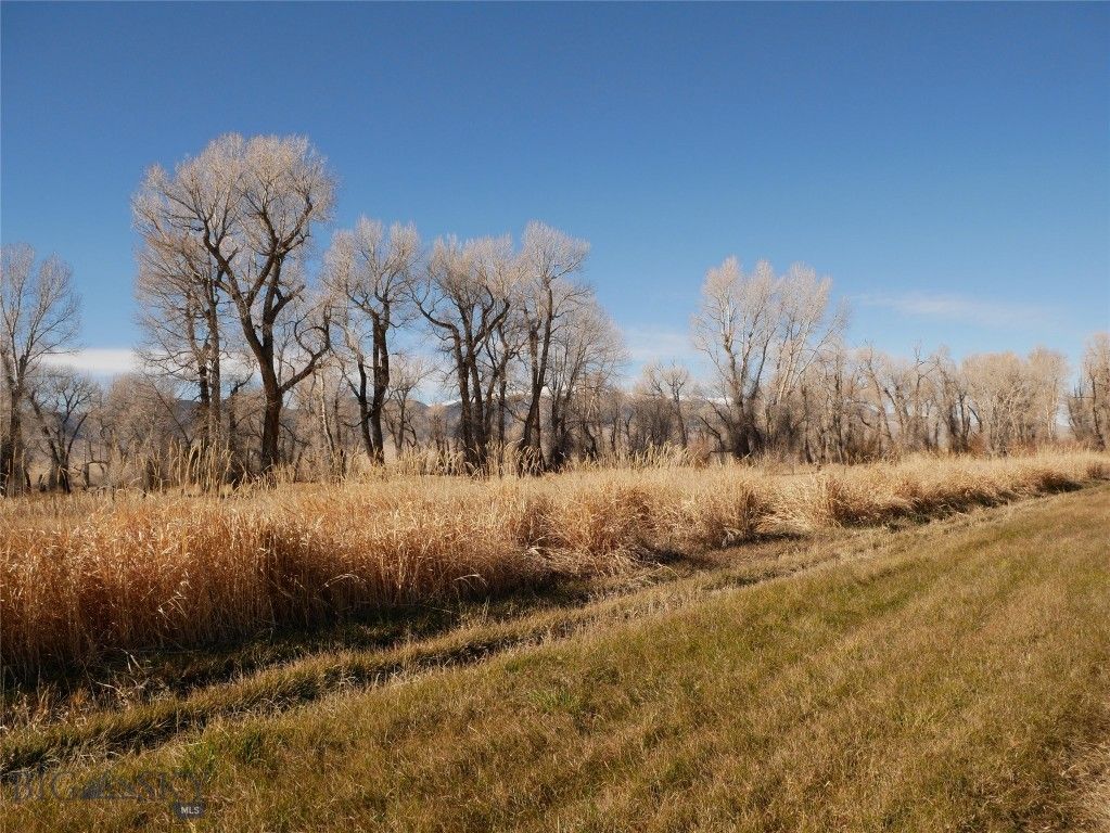 Address unavailable. photo 47