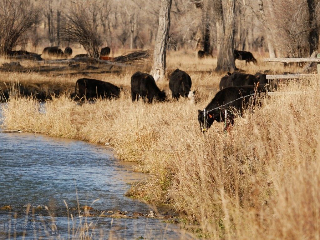 Address unavailable. photo 48