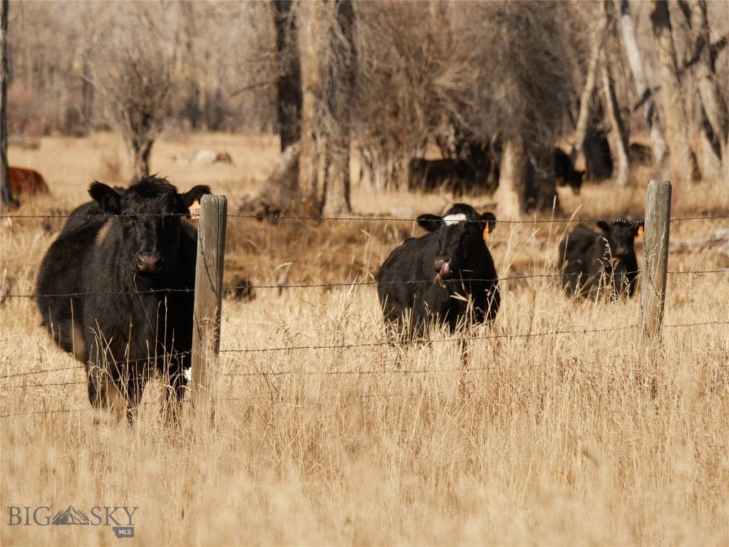 Address unavailable. photo 49