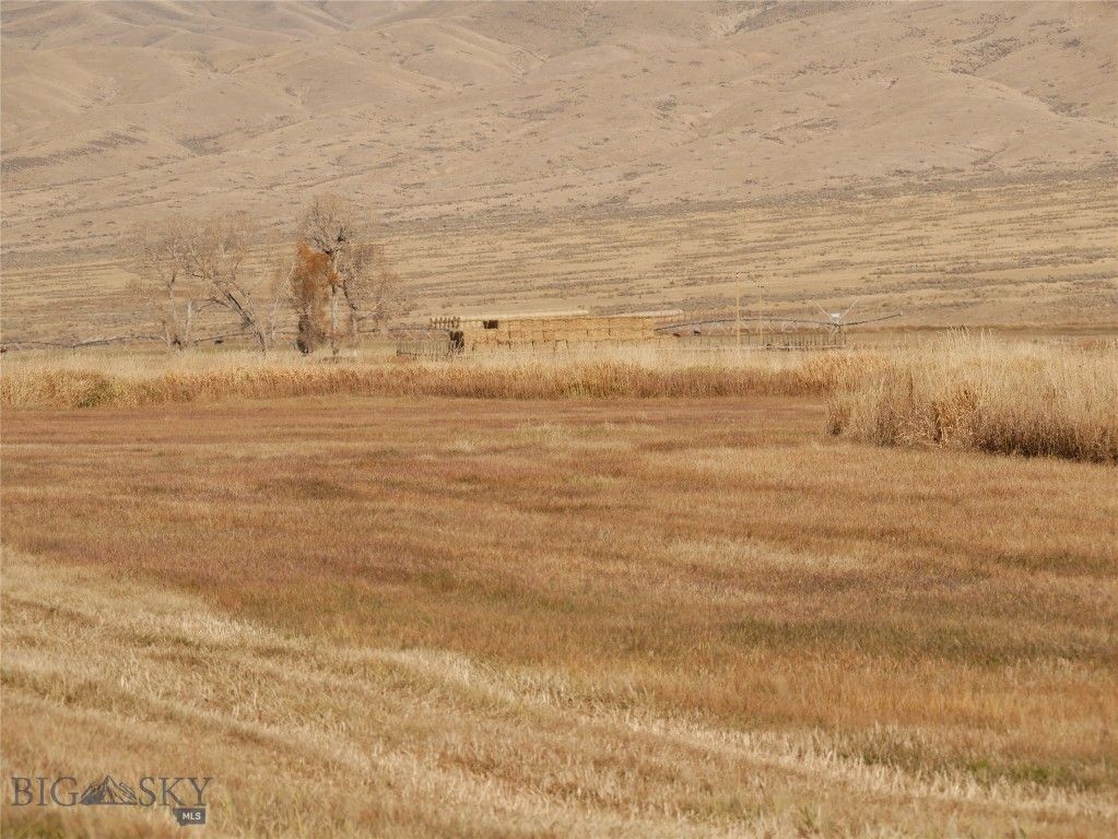 Address unavailable. photo 50