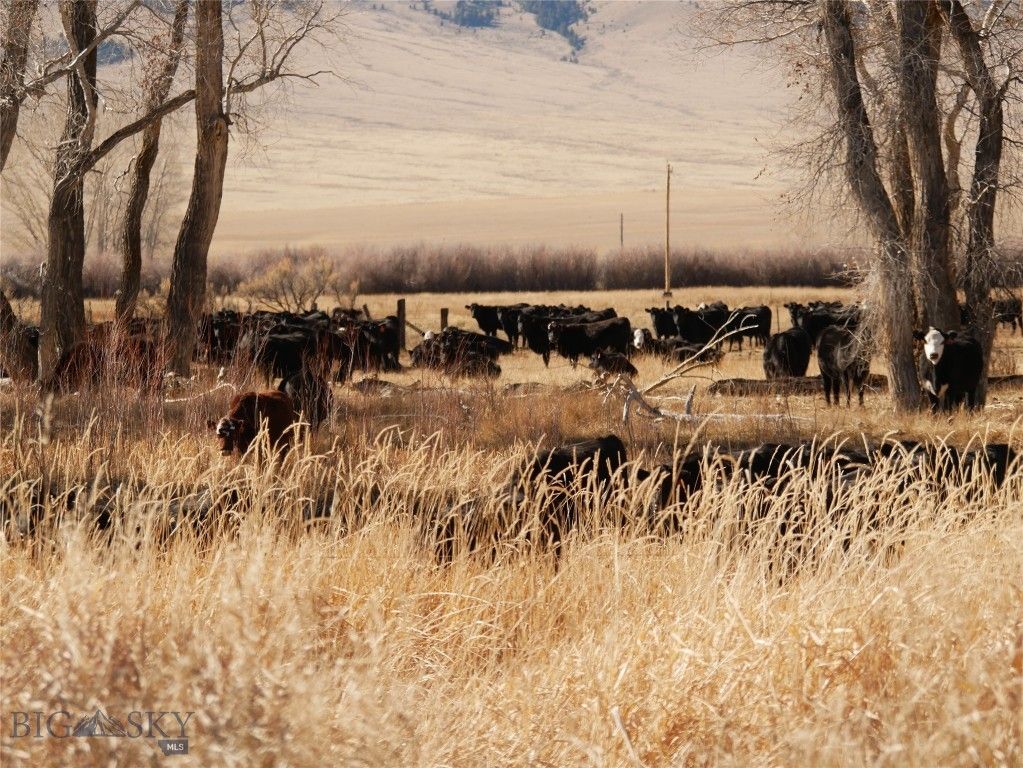 Address unavailable. photo 51