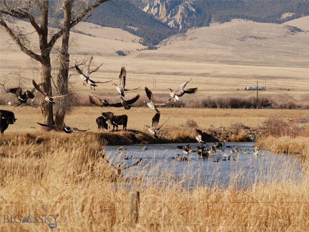 Address unavailable. photo 52