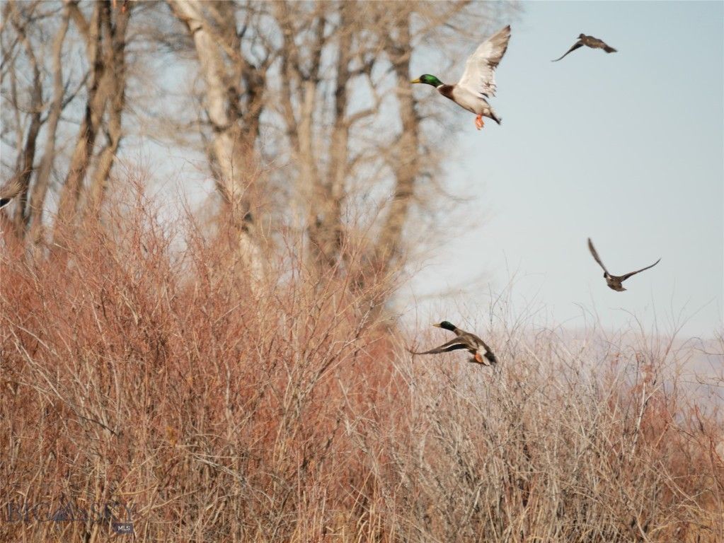 Address unavailable. photo 53