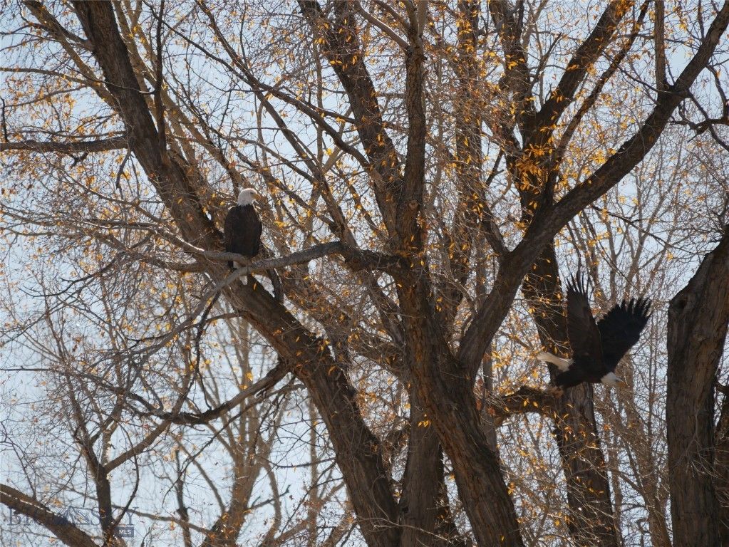 Address unavailable. photo 60