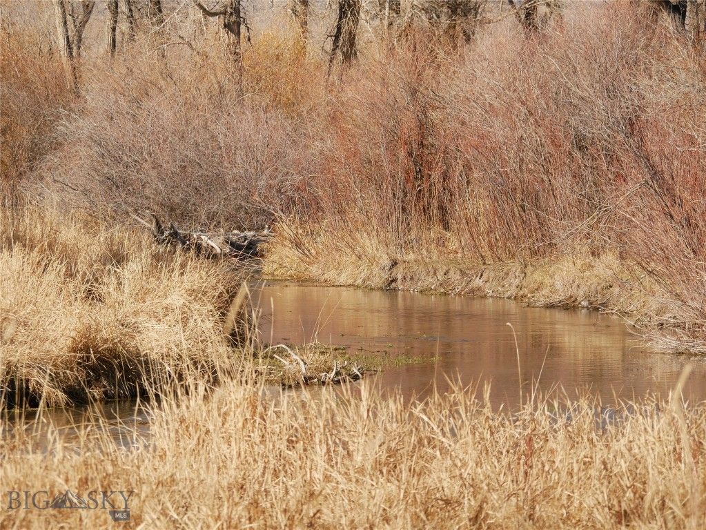 Address unavailable. photo 66