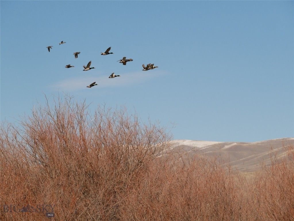 Address unavailable. photo 67