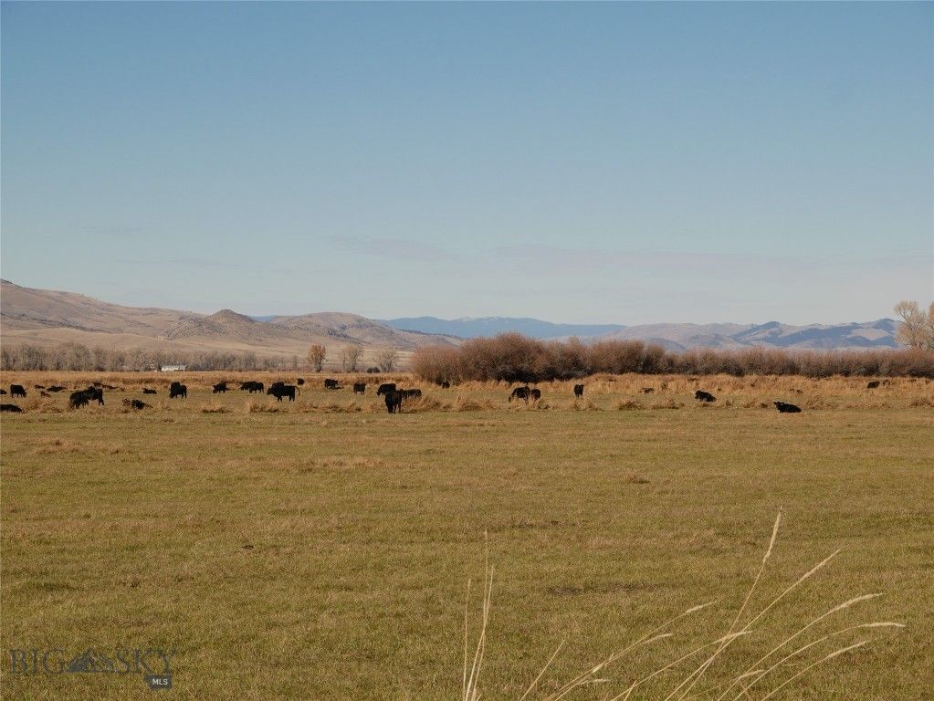 Address unavailable. photo 71