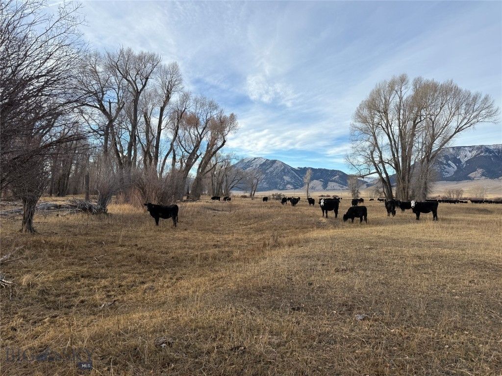 Address unavailable. photo 85