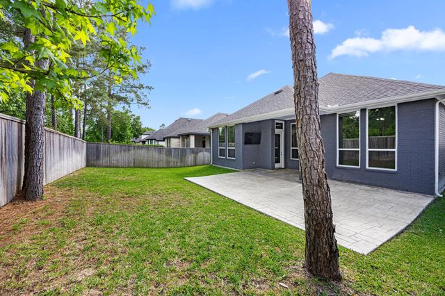 146 Sugar Pine Court, Montgomery, TX 77316