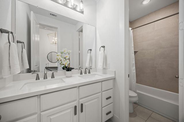 146 Sugar Pine Court, Montgomery, TX 77316