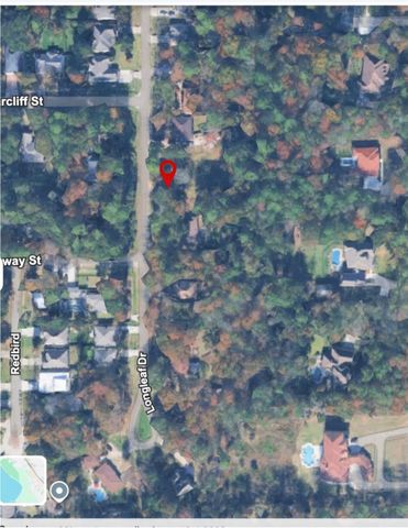 00 Longleaf Drive, Conroe, TX 77385