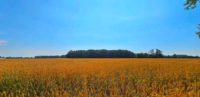 8273 Van Vleet Road, Gaines, MI 48436