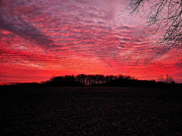 8273 Van Vleet Road, Gaines, MI 48436