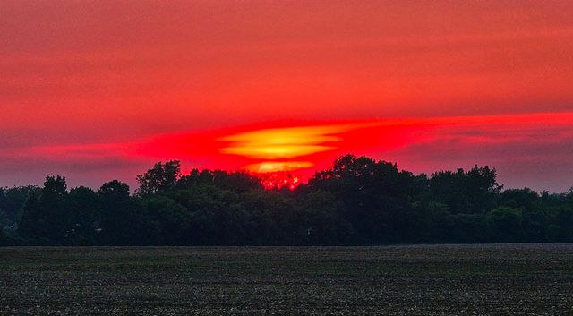 8273 Van Vleet Road, Gaines, MI 48436