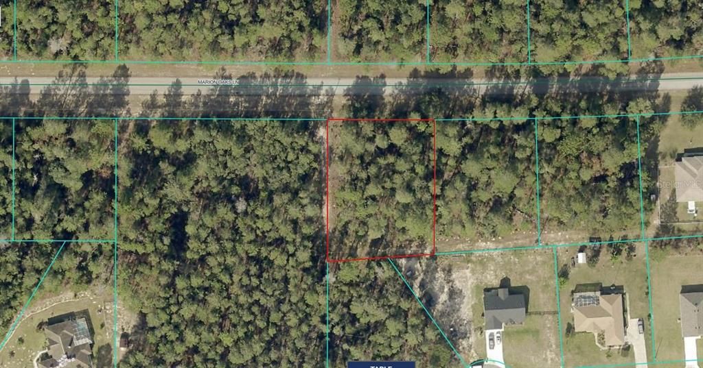 TBD MARION OAKS LANE, Ocala, FL 34473