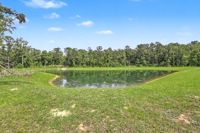 378 Green Fern Drive, Summerville, SC 29483