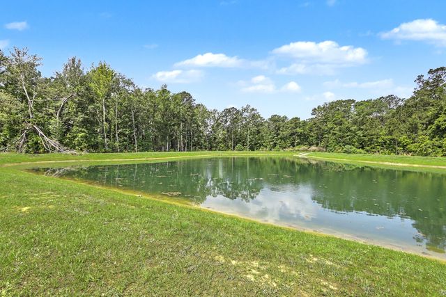 378 Green Fern Drive, Summerville, SC 29483