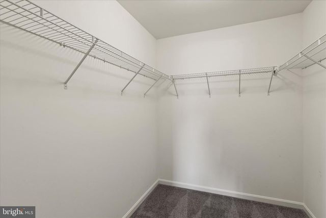 5559 TRAFALGAR CIR, Tilghman, MD 21671