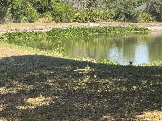 8427 DEER CHASE DRIVE, Riverview, FL 33578