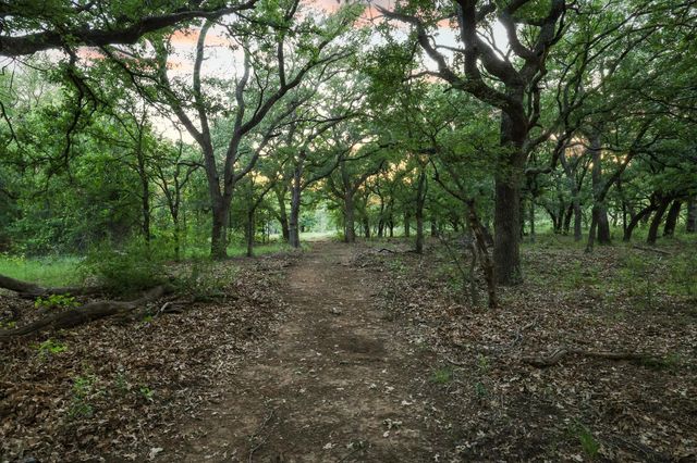 435 Timber Ridge Lake Road, Graham, TX 76450