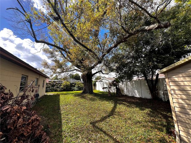 7808 N WOODLYNNE AVENUE, Tampa, FL 33614