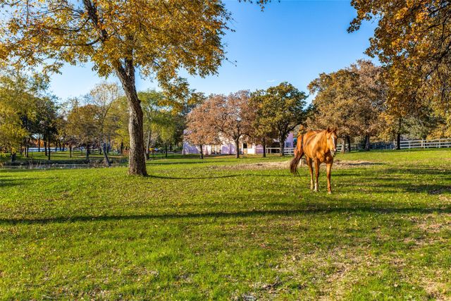 3521 Sentinel Oak Road, Flower Mound, TX 75022