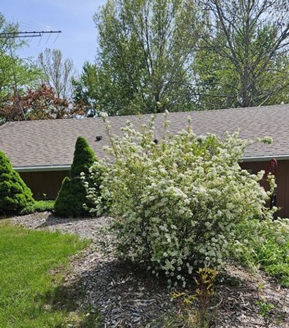 123 Timber Ridge Drive, Pella, IA 50219