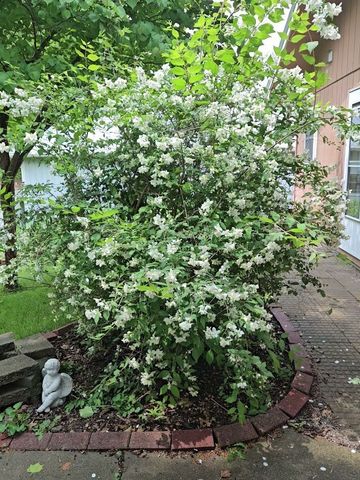 123 Timber Ridge Drive, Pella, IA 50219