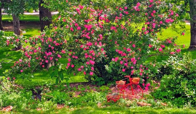 123 Timber Ridge Drive, Pella, IA 50219