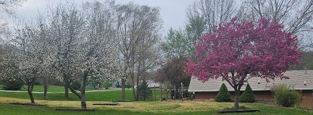 123 Timber Ridge Drive, Pella, IA 50219