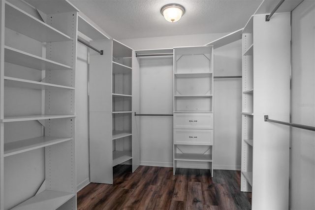 11511 PALMETTO PINE STREET, Riverview, FL 33569