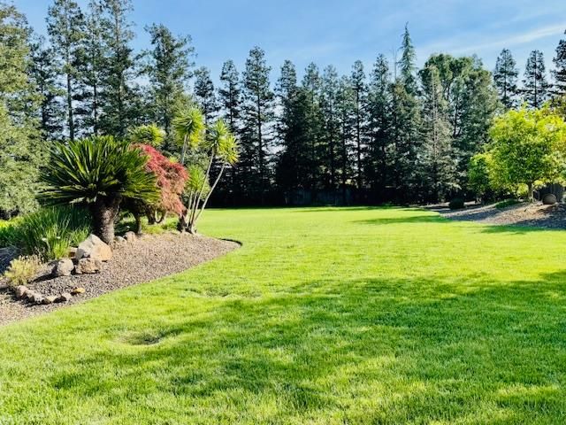 10171 Wildhawk Dr, Sacramento, CA 95829