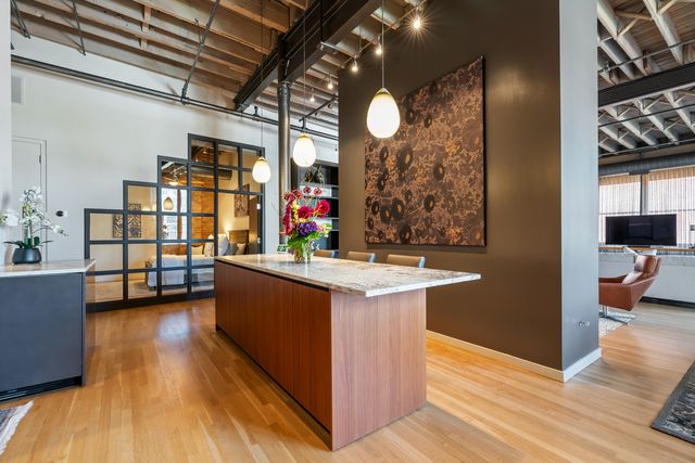 420 W Grand Avenue 5D, Chicago, IL 60654