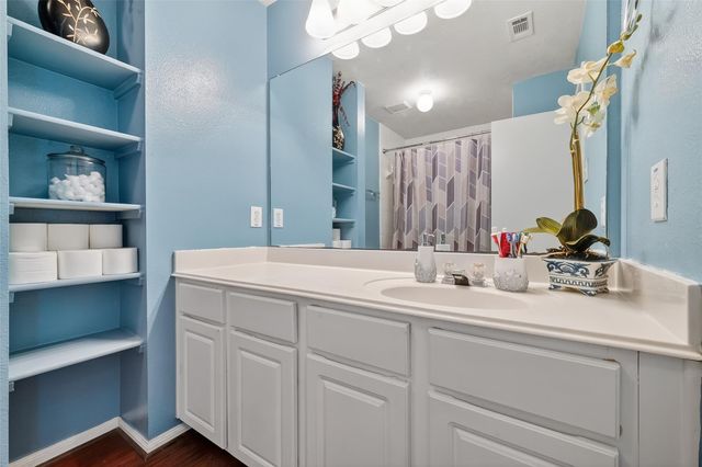 20211 S Sabal Palms Drive, Katy, TX 77449