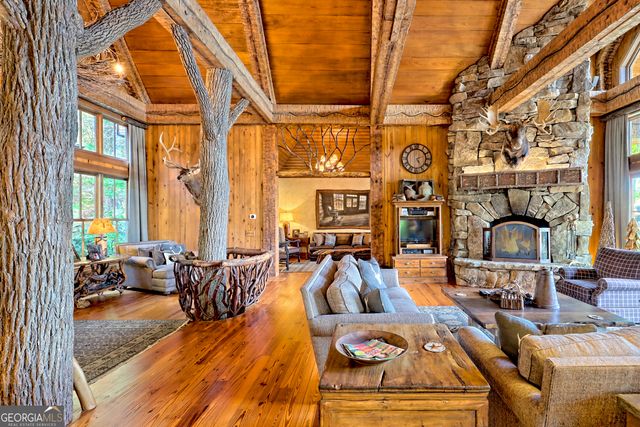 50 Point Morgan Lane, Tiger, GA 30576